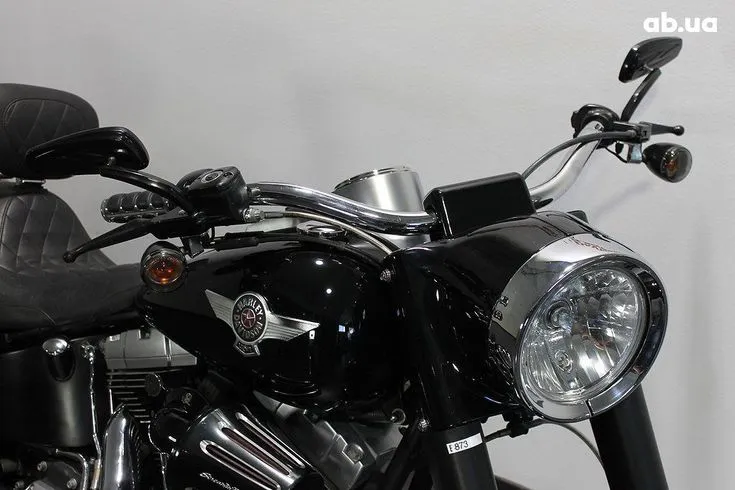 Harley-Davidson FLSTF Image 6